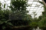 leipzig zoo-01_07_2011_gondwanaland_070